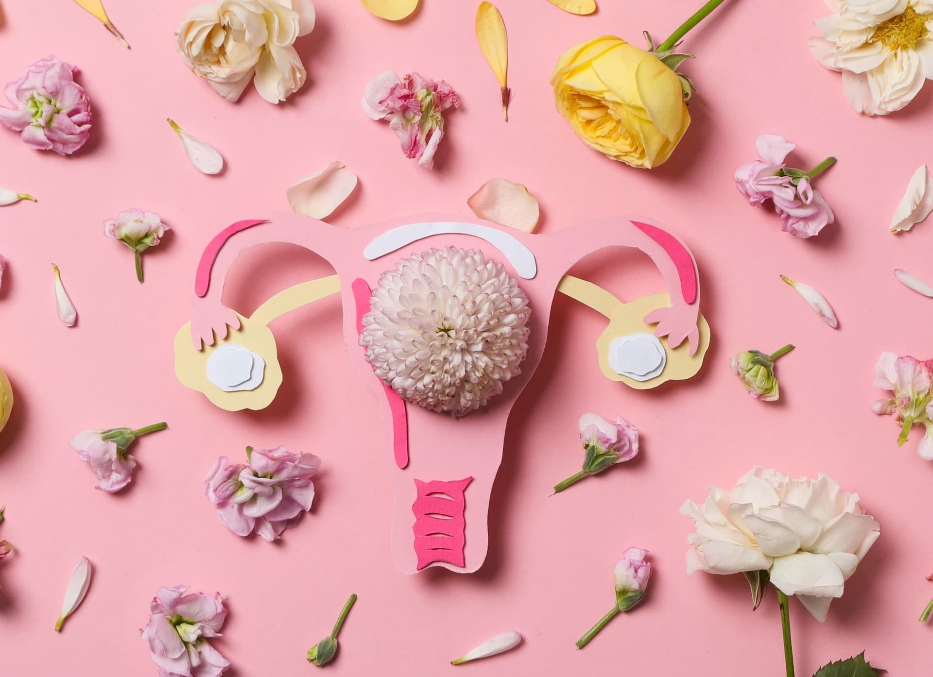 pH vaginal : comprendre son rôle et comment l’équilibrer naturellement